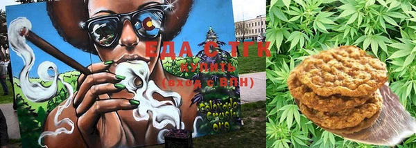 прущие грибы Новокубанск