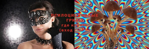 бошки Алзамай