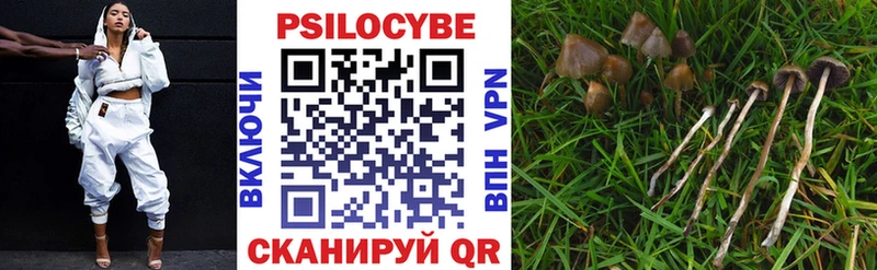 Галлюциногенные грибы Psilocybe  Камышин 